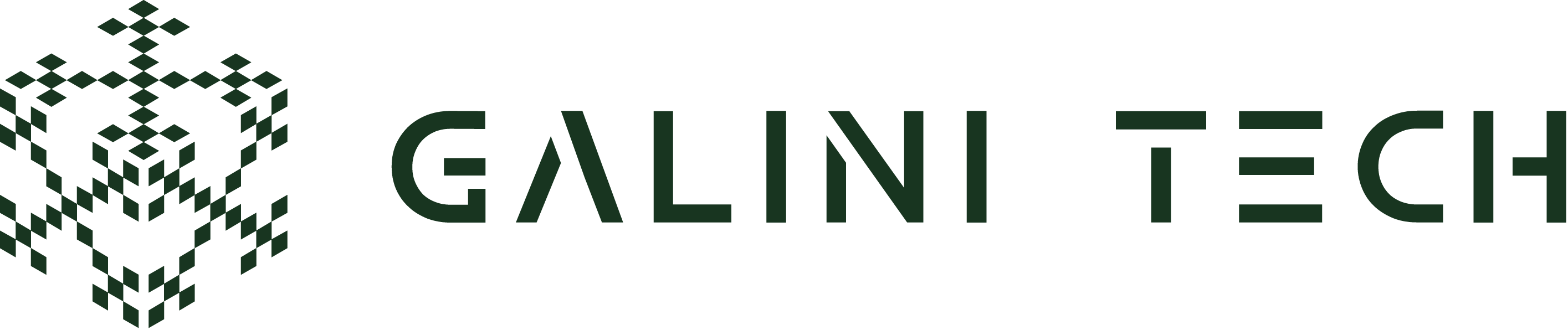 Galini